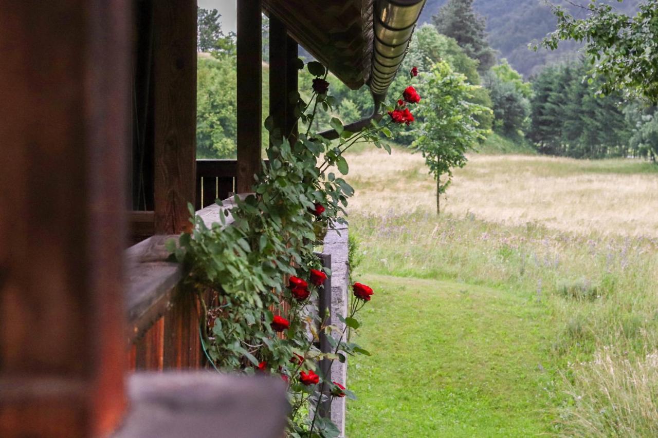 Villa House Alpine Rose Mojstrana Exterior foto